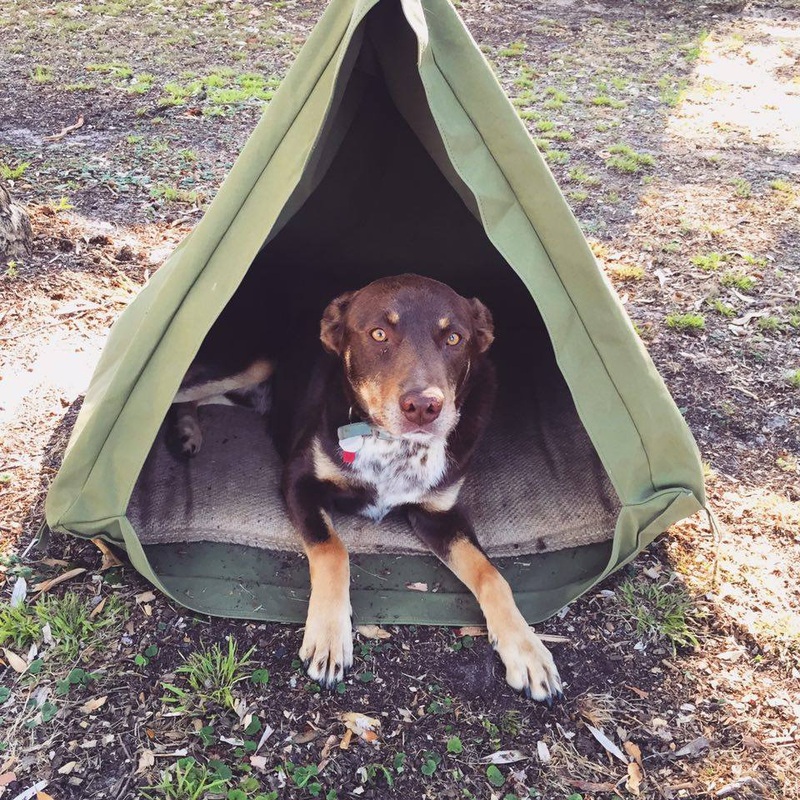 Dog swag tent clearance